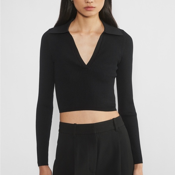 Aritzia Tops - Aritzia Babaton Sculpt Knit Polo Longsleeve